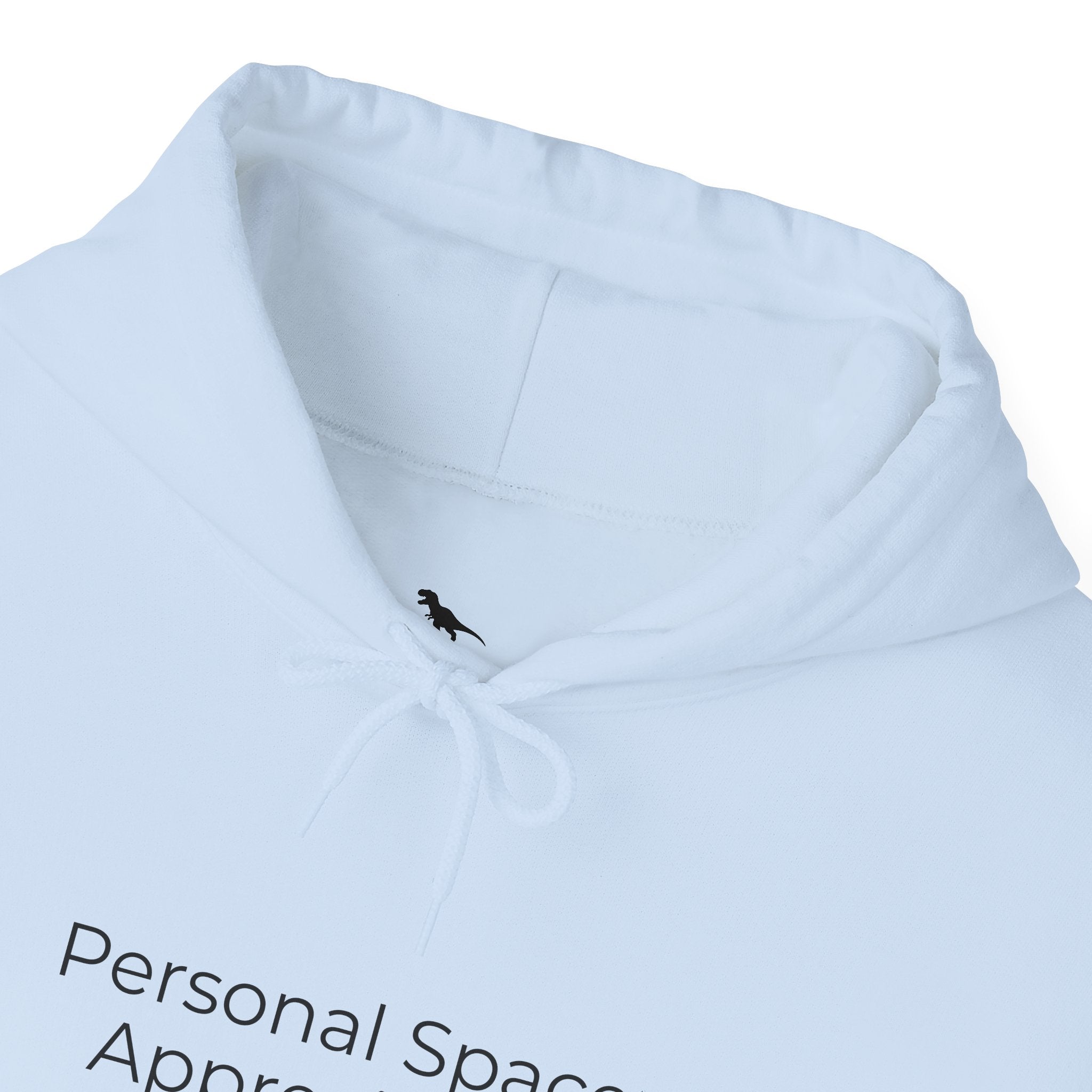 Personal Space Appreciated Hoodie