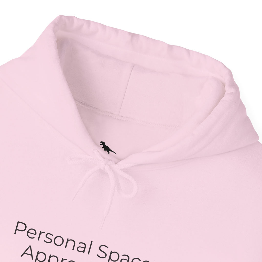 Personal Space Appreciated Hoodie