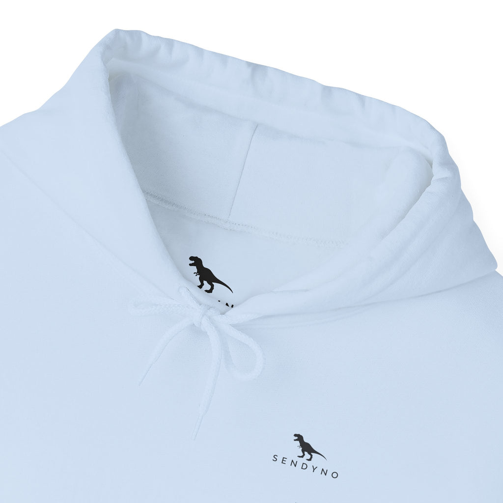 Authentic Since Birth Hoodie