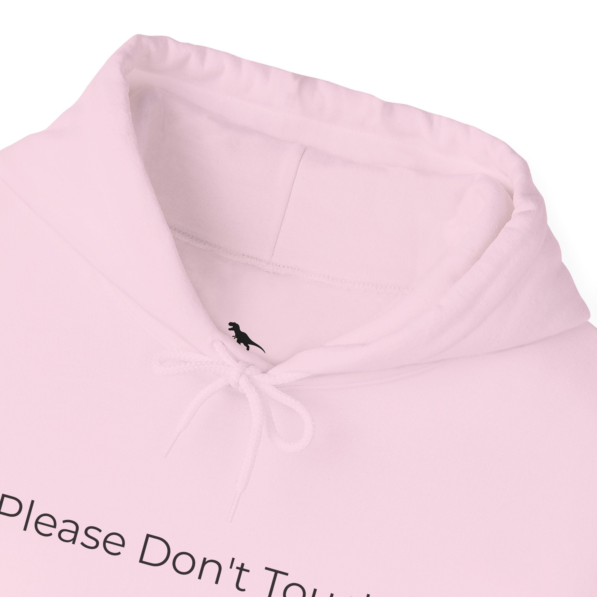Please Don't Touch Hoodie