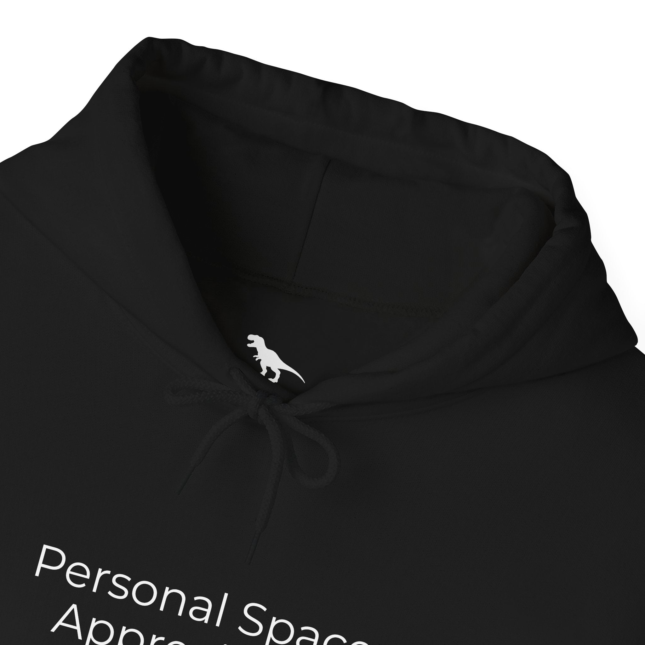 Personal Space Appreciated Hoodie