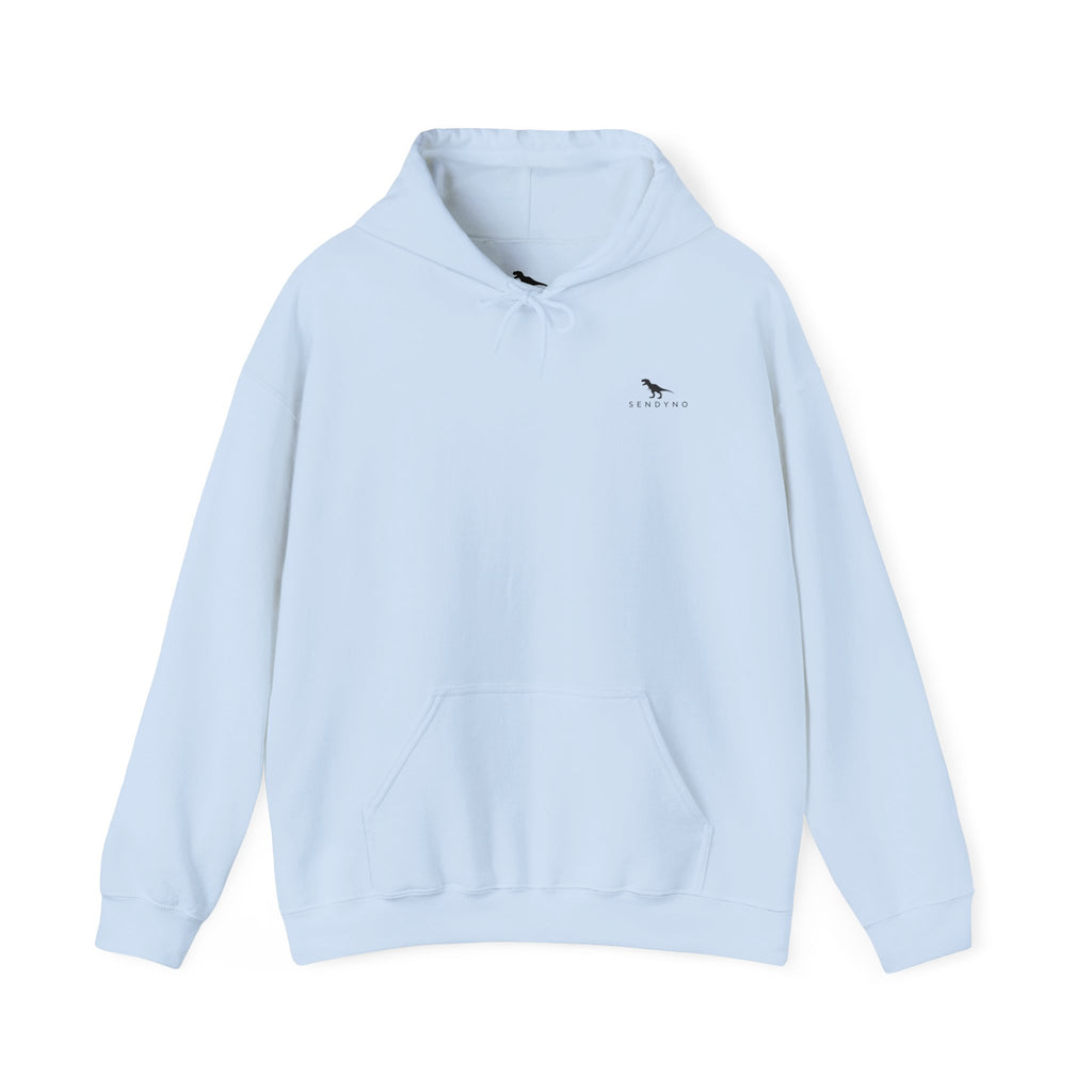 Authentic Since Birth Hoodie