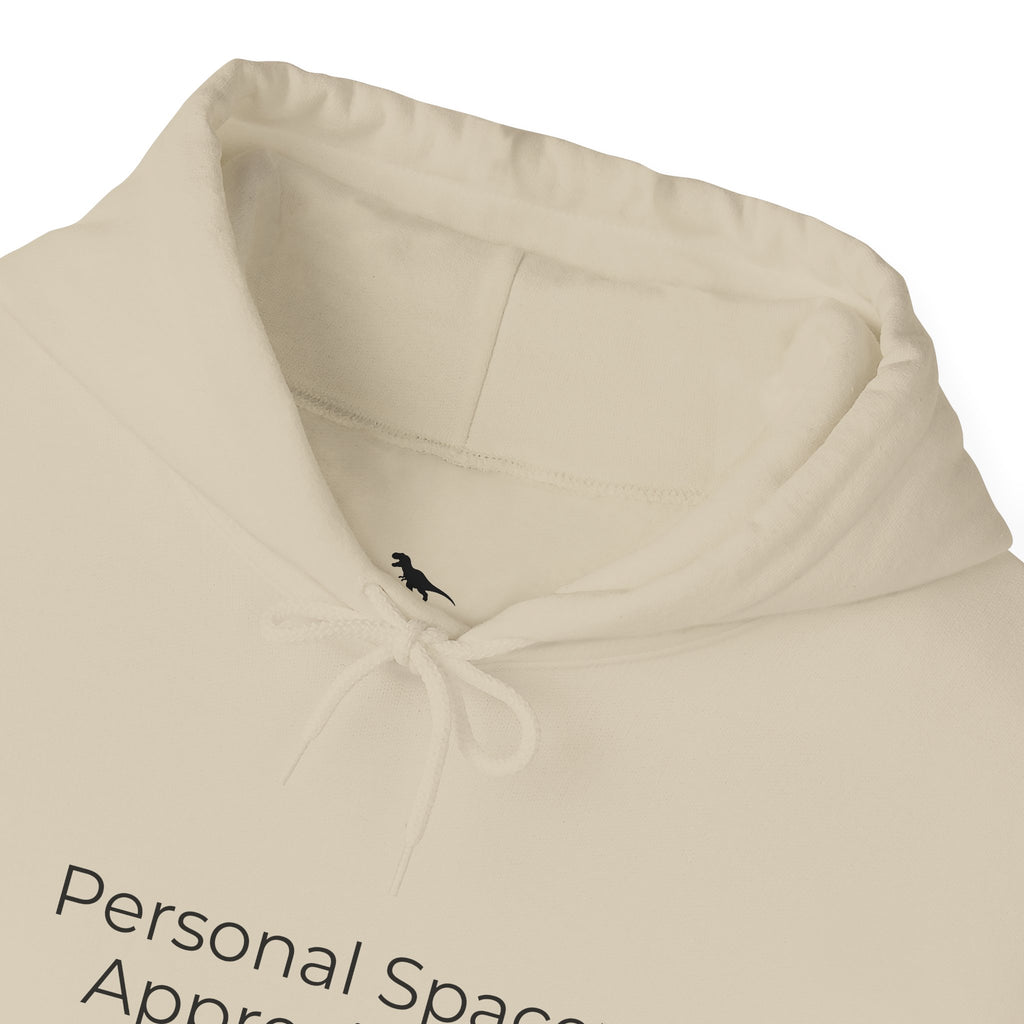 Personal Space Appreciated Hoodie