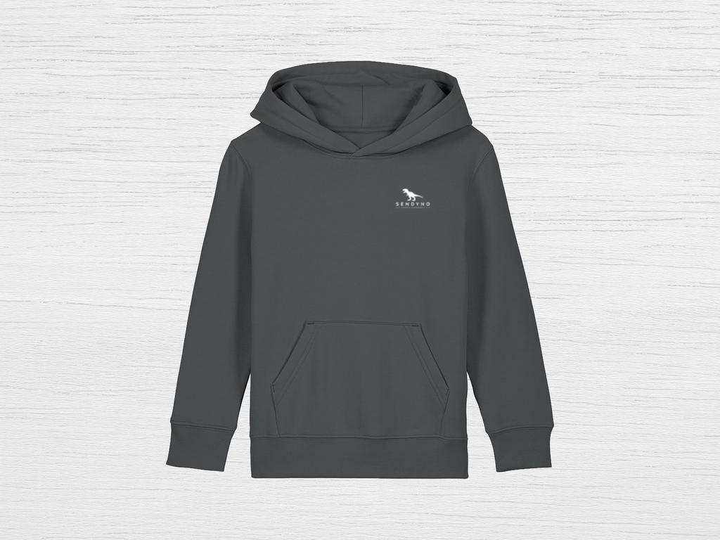 SENdyno Est. 2026 Hoodie
