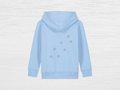 Dino Steps Hoodie