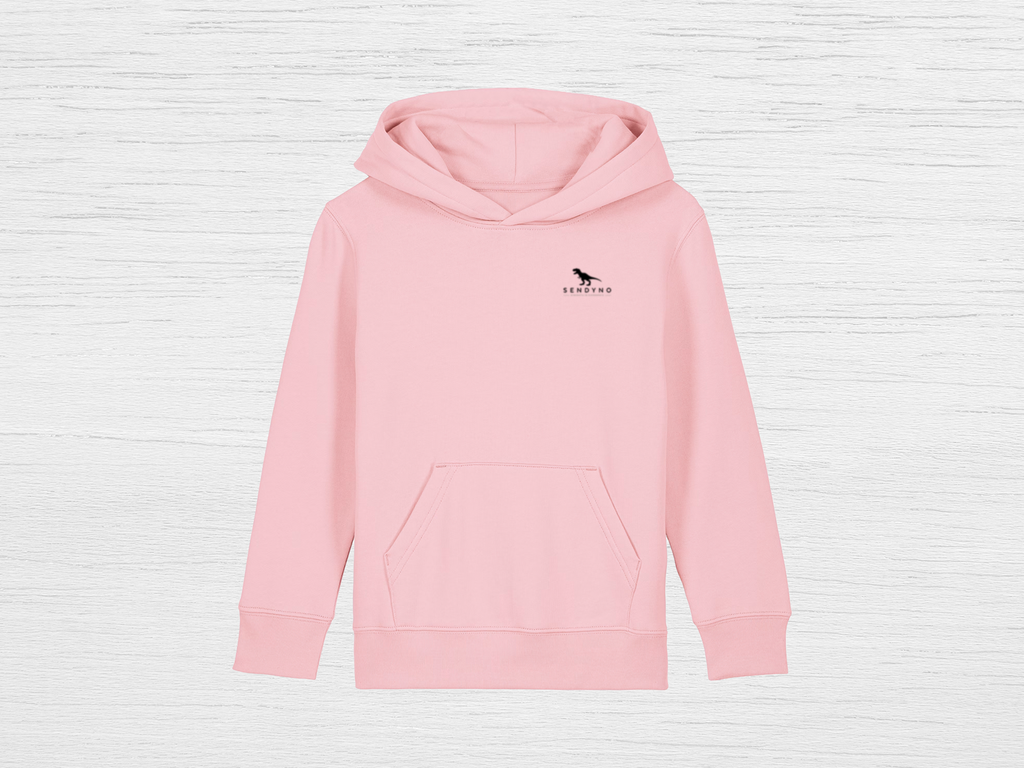 Dino Steps Hoodie